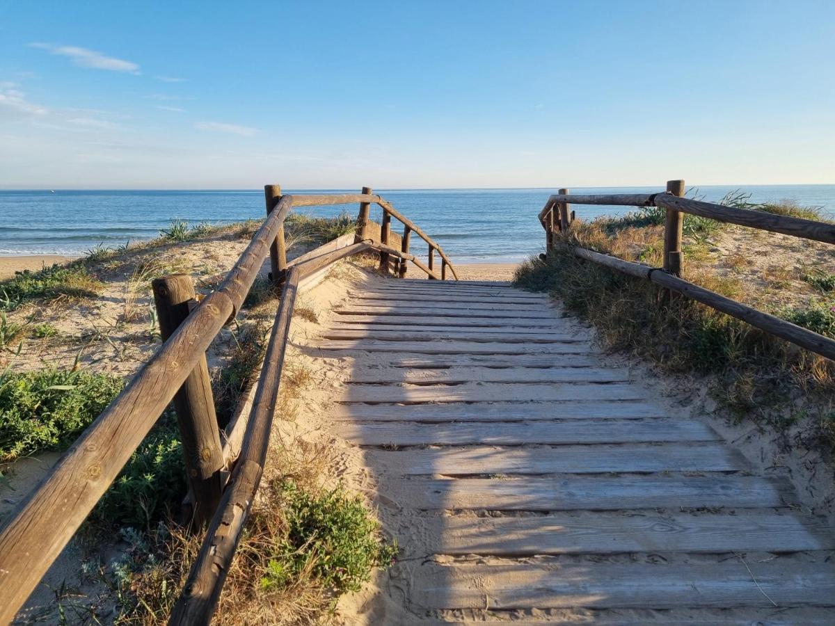 Hello Oliva Beach Bb Ngoại thất bức ảnh